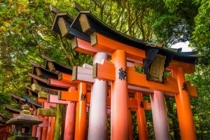 Jour 6 : Visite de Fushimi Inari Taisha et Uji